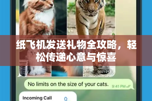 纸飞机发送礼物全攻略，轻松传递心意与惊喜