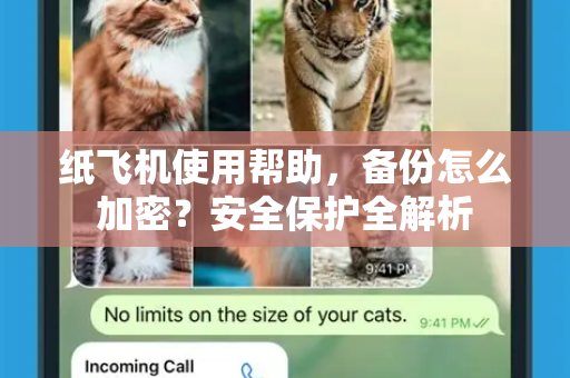 纸飞机使用帮助，备份怎么加密？安全保护全解析