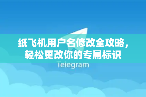 纸飞机用户名修改全攻略，轻松更改你的专属标识