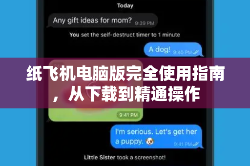 纸飞机电脑版完全使用指南，从下载到精通操作