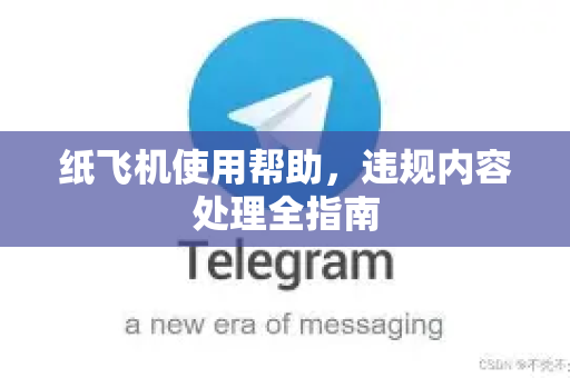 纸飞机使用帮助，违规内容处理全指南