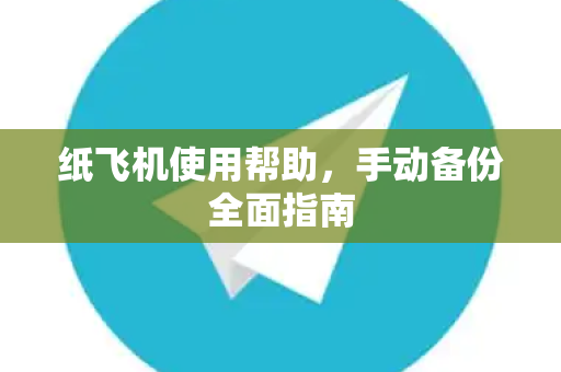 纸飞机使用帮助，手动备份全面指南