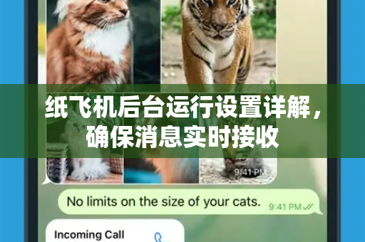 纸飞机后台运行设置详解，确保消息实时接收-第1张图片-纸飞机下载官网 - TG电报下载 - Telegram