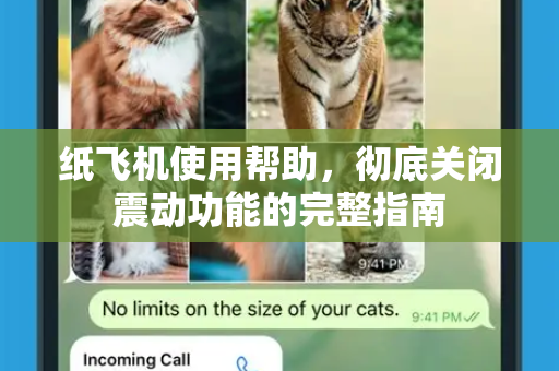 纸飞机使用帮助，彻底关闭震动功能的完整指南