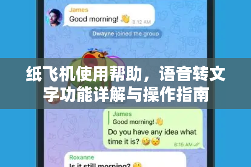 纸飞机使用帮助，语音转文字功能详解与操作指南