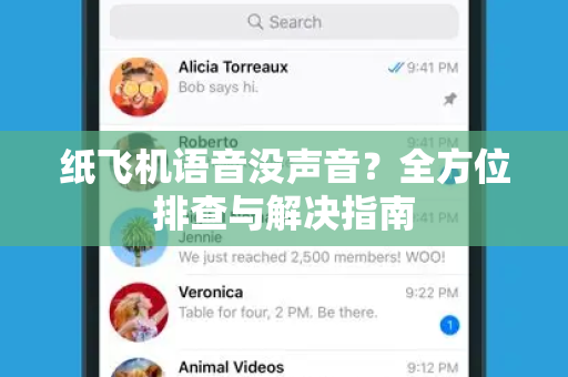 纸飞机语音没声音？全方位排查与解决指南