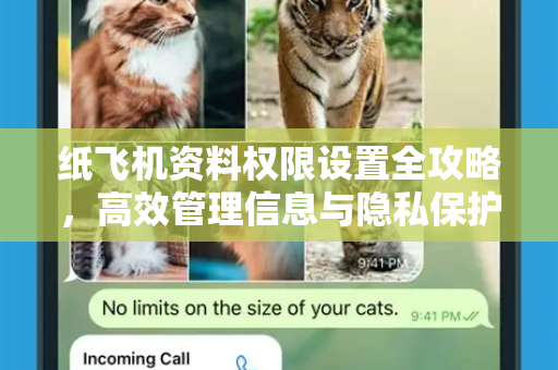纸飞机资料权限设置全攻略，高效管理信息与隐私保护