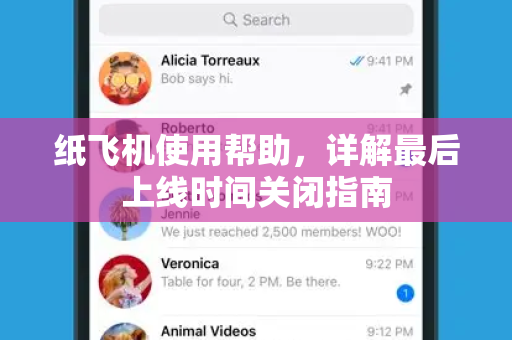 纸飞机使用帮助，详解最后上线时间关闭指南