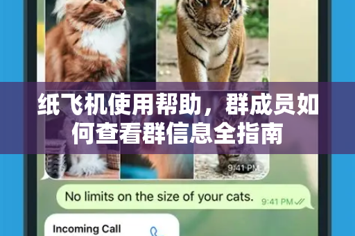 纸飞机使用帮助，群成员如何查看群信息全指南