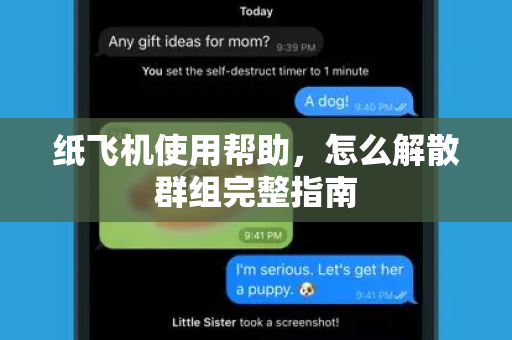 纸飞机使用帮助，怎么解散群组完整指南