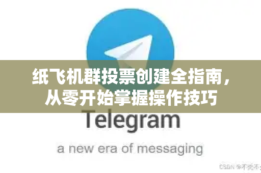纸飞机群投票创建全指南，从零开始掌握操作技巧