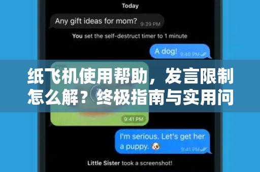 纸飞机使用帮助，发言限制怎么解？终极指南与实用问答