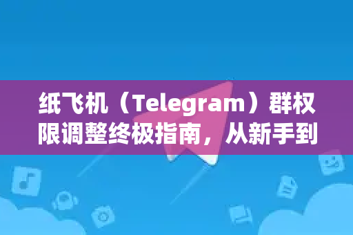 纸飞机（Telegram）群权限调整终极指南，从新手到管理员