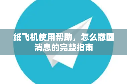 纸飞机使用帮助，怎么撤回消息的完整指南