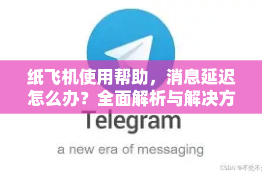 纸飞机使用帮助，消息延迟怎么办？全面解析与解决方案