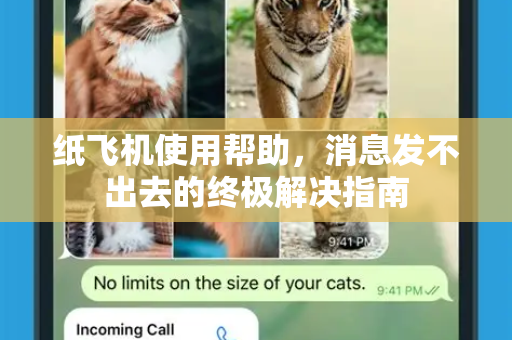 纸飞机使用帮助，消息发不出去的终极解决指南