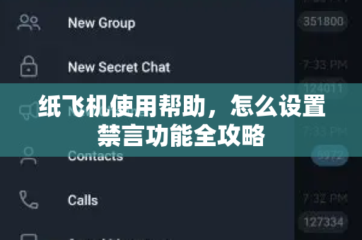 纸飞机使用帮助，怎么设置禁言功能全攻略