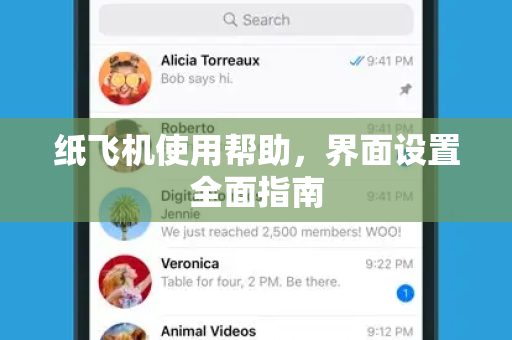 纸飞机使用帮助，界面设置全面指南