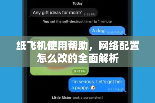 纸飞机使用帮助，网络配置怎么改的全面解析
