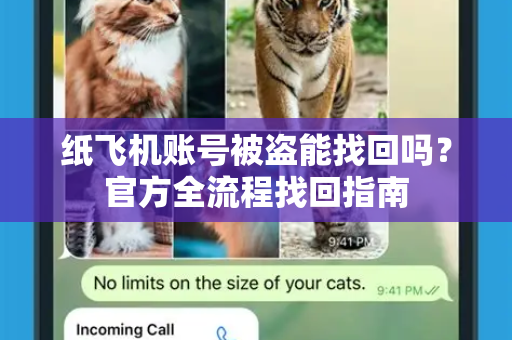 纸飞机账号被盗能找回吗？官方全流程找回指南