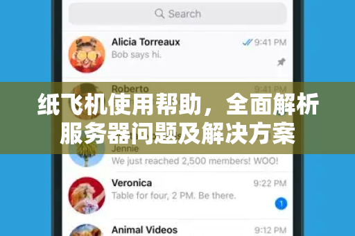 纸飞机使用帮助，全面解析服务器问题及解决方案
