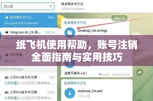 纸飞机使用帮助，账号注销全面指南与实用技巧