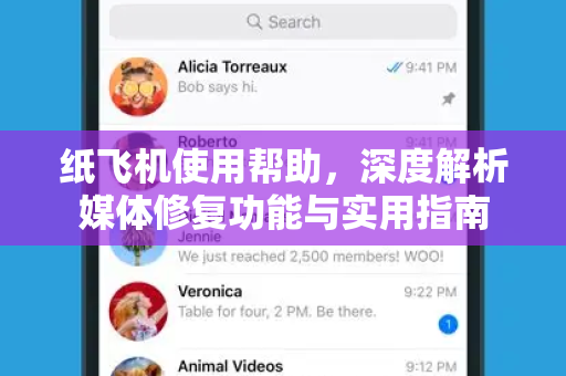 纸飞机使用帮助，深度解析媒体修复功能与实用指南