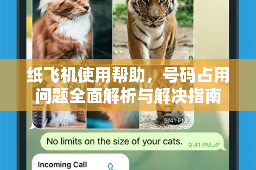 纸飞机使用帮助，号码占用问题全面解析与解决指南