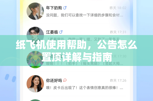 纸飞机使用帮助，公告怎么置顶详解与指南