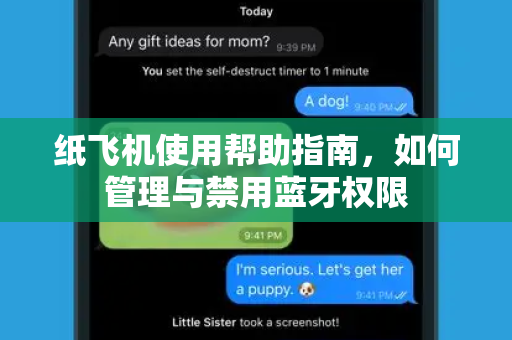 纸飞机使用帮助指南，如何管理与禁用蓝牙权限