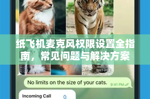 纸飞机麦克风权限设置全指南，常见问题与解决方案-第1张图片-纸飞机下载官网 - TG电报下载 - Telegram