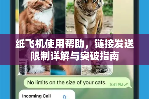 纸飞机使用帮助，链接发送限制详解与突破指南