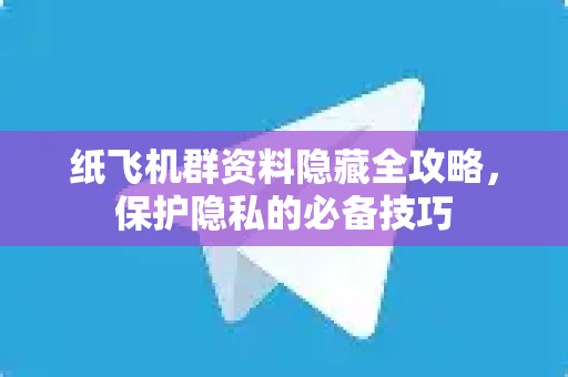 纸飞机群资料隐藏全攻略，保护隐私的必备技巧