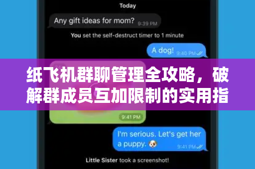 纸飞机群聊管理全攻略，破解群成员互加限制的实用指南