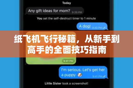 纸飞机飞行秘籍，从新手到高手的全面技巧指南