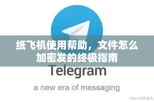 纸飞机使用帮助，文件怎么加密发的终极指南