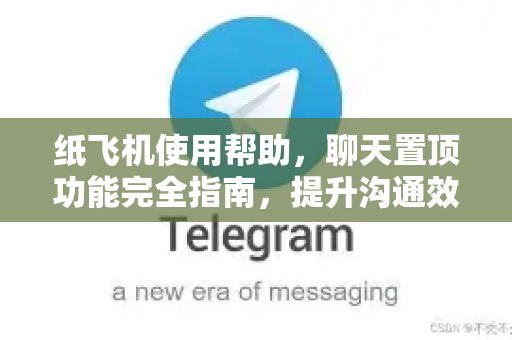 纸飞机使用帮助，聊天置顶功能完全指南，提升沟通效率