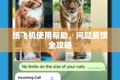 纸飞机使用帮助，问题反馈全攻略