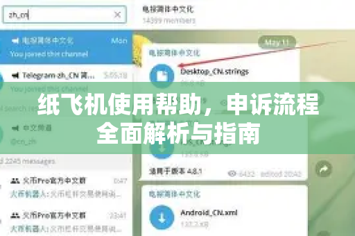 纸飞机使用帮助，申诉流程全面解析与指南