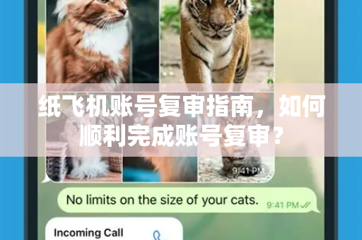 纸飞机账号复审指南，如何顺利完成账号复审？