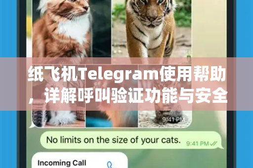纸飞机Telegram使用帮助，详解呼叫验证功能与安全指南